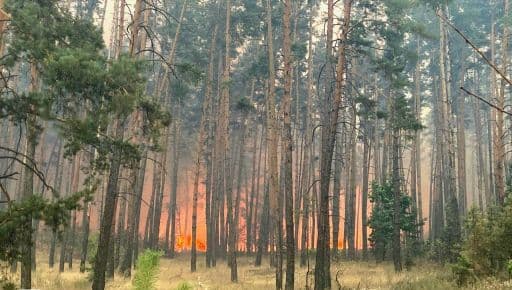 На Харьковщине горит более 700 га леса