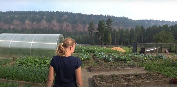 Секрет успеха в садоводстве: какие важные шаги предпринять в январе для богатого и обильного урожая.